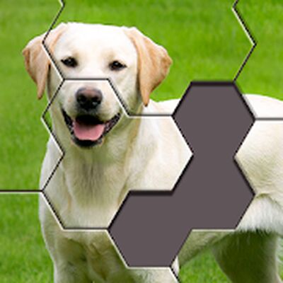 Скачать взломанную Hexa Jigsaw Puzzle ® [Много монет] MOD apk на Андроид