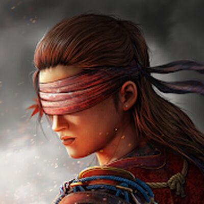 Скачать взломанную Ryuko Legend of Shadow Hunter [Много денег] MOD apk на Андроид