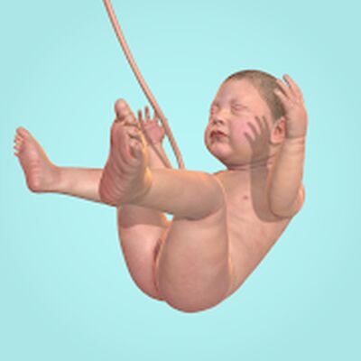 Скачать взломанную 9 Months [Много денег] MOD apk на Андроид