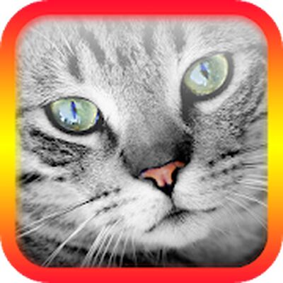 Скачать взломанную Переводчик на кошачий язык [Много денег] MOD apk на Андроид