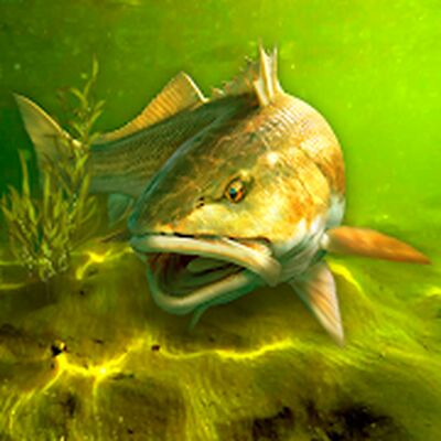 Скачать взломанную My Fishing World - Реальная рыбалка [Мод меню] MOD apk на Андроид