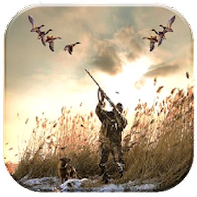 Скачать взломанную Утка охота 3D: водолаз Утки [Много монет] MOD apk на Андроид
