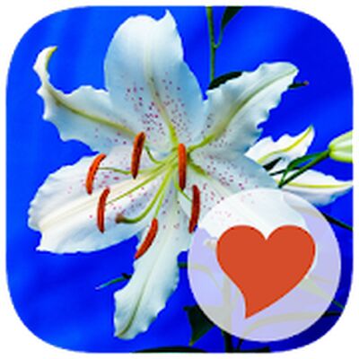 Скачать взломанную 650 Слов [Много монет] MOD apk на Андроид