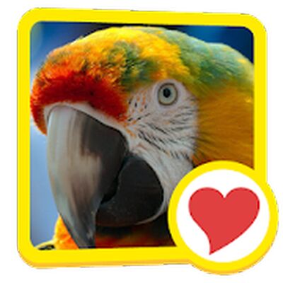 Скачать взломанную 600 Слов [Много монет] MOD apk на Андроид
