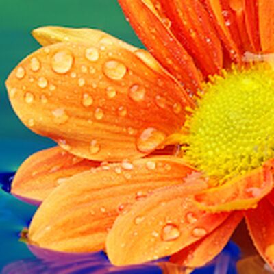 Скачать взломанную 665 Слов [Мод меню] MOD apk на Андроид