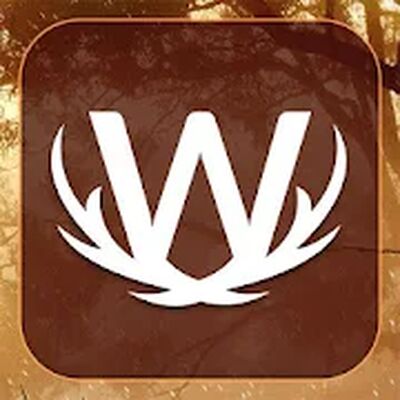 Скачать взломанную Word Wild [Бесплатные покупки] MOD apk на Андроид