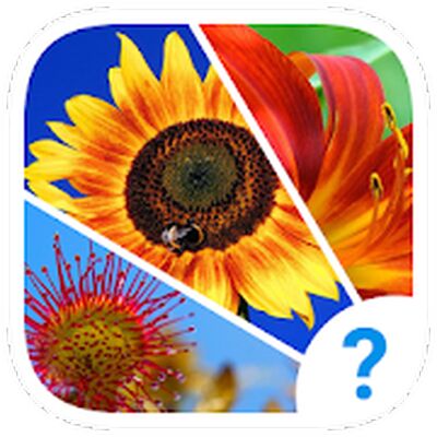 Скачать взломанную 4 Подсказки: угадай слово [Мод меню] MOD apk на Андроид