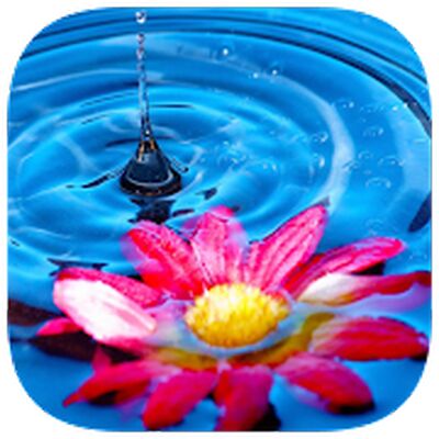 Скачать взломанную 153 Фото Кроссвордов [Мод меню] MOD apk на Андроид