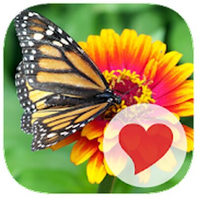 Скачать взломанную 630 Фото [Много монет] MOD apk на Андроид