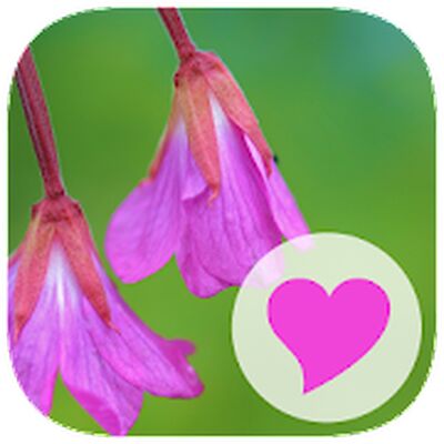 Скачать взломанную 580 Слов [Мод меню] MOD apk на Андроид