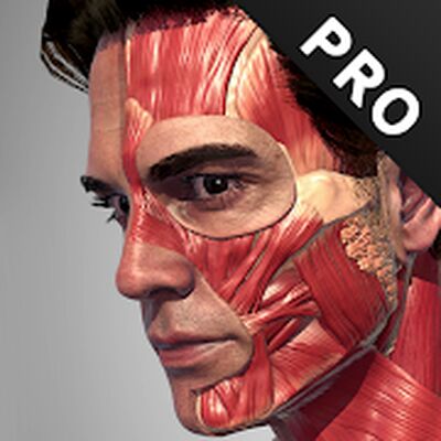 Скачать Анатомия действий Pro [Unlocked] RUS apk на Андроид