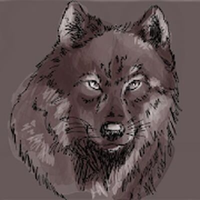 Скачать Как рисовать волка по шагам [Без рекламы] RUS apk на Андроид