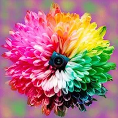 Скачать Photo Editor - Pro [Premium] RU apk на Андроид