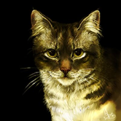 Скачать Коты-Воители. Справочник [Без рекламы] RUS apk на Андроид