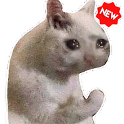 Скачать Смешной наклейки мем кошки WAStickerApps [Premium] RUS apk на Андроид