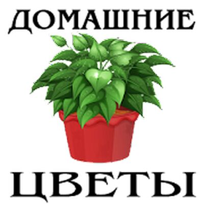 Скачать Домашние Цветы [Unlocked] RU apk на Андроид