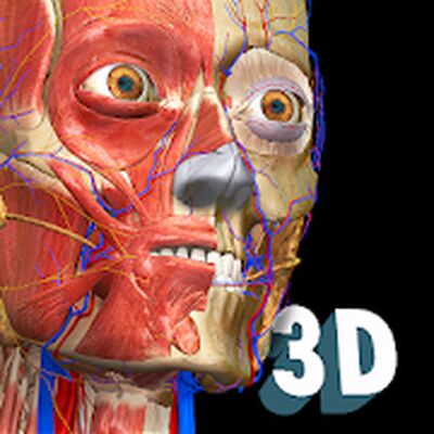 Скачать Anatomy Learning - 3D анатомический атлас [Без рекламы] RU apk на Андроид