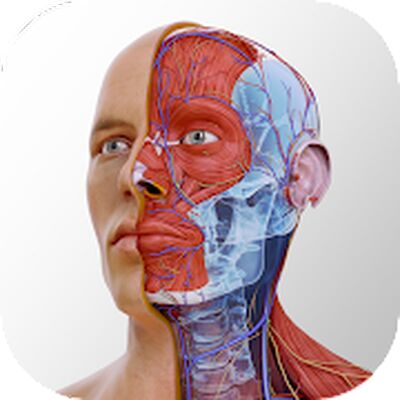 Скачать Complete Anatomy 2022 [Без рекламы] RUS apk на Андроид