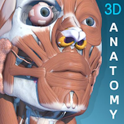 Скачать Visual Anatomy 3D - Human [Полная версия] RU apk на Андроид