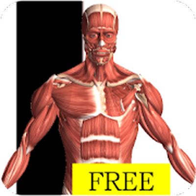 Скачать Visual Anatomy Free [Unlocked] RUS apk на Андроид