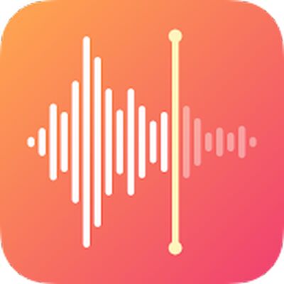 Скачать Диктофон - диктафон запись & аудио приложение [Premium] RU apk на Андроид