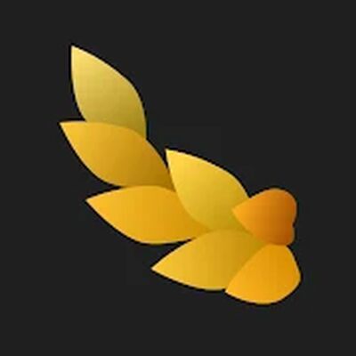 Скачать NYMF: Галерея женской красоты Давида Дубницкого [Unlocked] RUS apk на Андроид