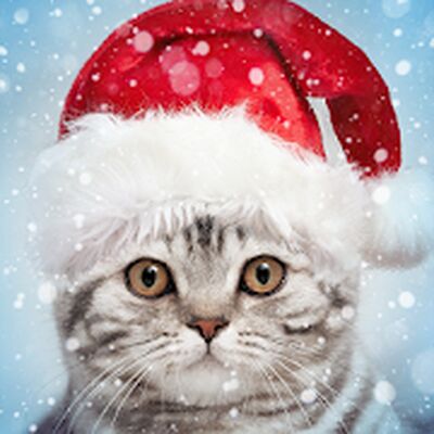 Скачать Новогодние Фоторамки и Эффекты [Без рекламы] RUS apk на Андроид