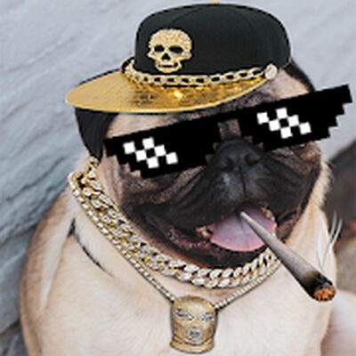 Скачать Thug Life Picture Editor [Premium] RU apk на Андроид