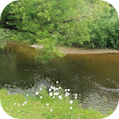Скачать Закругление углов фото [Полная версия] RU apk на Андроид