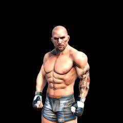 Скачать взломанную Fight Arena Online [Много денег] MOD apk на Андроид