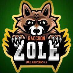 Скачать взломанную Игра в карты Золе: RaccoonZole [Бесплатные покупки] MOD apk на Андроид