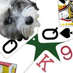 Скачать взломанную K9 Sheepshead (Schafkopf) [Много денег] MOD apk на Андроид