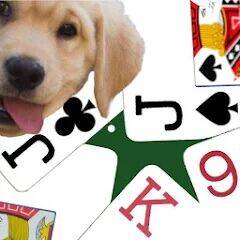 Скачать взломанную K9 Euchre [Много монет] MOD apk на Андроид