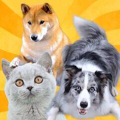 Скачать взломанную Real Pets by Fruwee [Много денег] MOD apk на Андроид