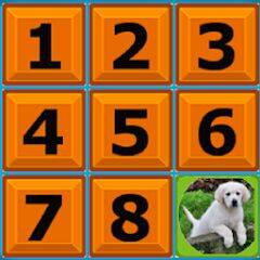 Скачать взломанную NINE SQUARE PUZZLE [Много монет] MOD apk на Андроид
