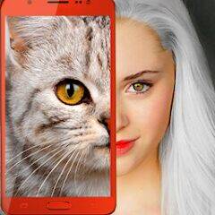 Скачать взломанную Какой ты кот? пранк [Много денег] MOD apk на Андроид