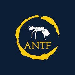 Скачать взломанную ANTF - Mobil Game [Много монет] MOD apk на Андроид