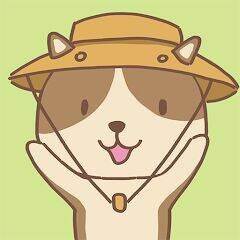 Скачать взломанную Animal Camping: Idle Camp [Много монет] MOD apk на Андроид