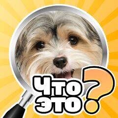 Скачать взломанную Что это? Викторина [Бесплатные покупки] MOD apk на Андроид