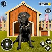Скачать взломанную Dog Simulator: Dog Life Games [Много денег] MOD apk на Андроид