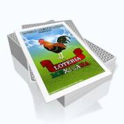 Скачать взломанную Baraja de Lotería Mexicana [Мод меню] MOD apk на Андроид