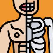 Скачать взломанную Anatomania - Quiz de Anatomia [Много денег] MOD apk на Андроид