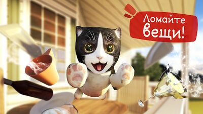 Скачать взломанную Симулятор Кошки [Бесплатные покупки] MOD apk на Андроид