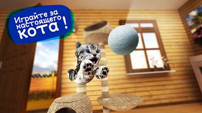 Скачать взломанную Симулятор Кошки [Бесплатные покупки] MOD apk на Андроид