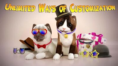 Скачать взломанную Cat Simulator : Kitty Craft [Много денег] MOD apk на Андроид