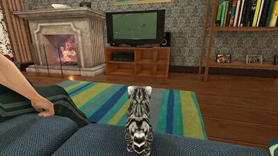 Скачать взломанную Cat Simulator : Kitty Craft [Много денег] MOD apk на Андроид