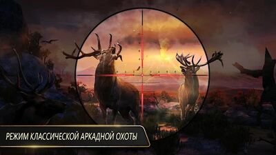 Скачать взломанную DEER HUNTER CLASSIC [Много денег] MOD apk на Андроид