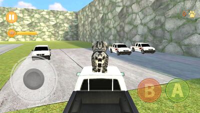 Скачать взломанную Котенок Кошка Симулятор 3D [Много монет] MOD apk на Андроид