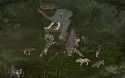 Скачать взломанную Wild Animals Online [Много монет] MOD apk на Андроид