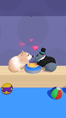 Скачать взломанную Hamster Maze [Много денег] MOD apk на Андроид
